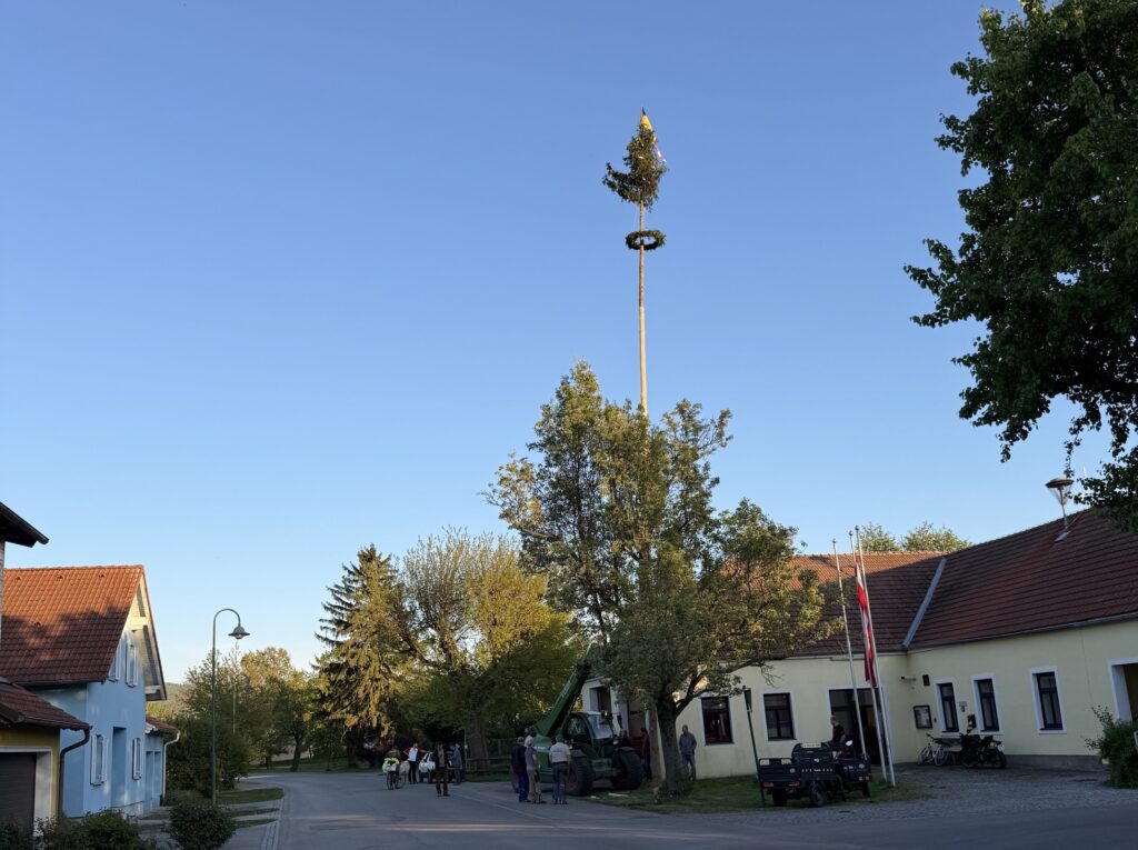 Maibaum02